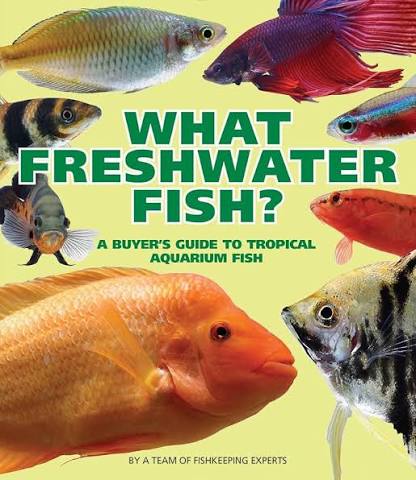 What Freshwater Fish?: A Buyer's Guide to Tropical Aquarium Fish: A Team of Fishkeeping Experts: 9780228104278: Books - Amazon.ca