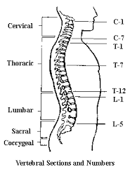 what is asia impairment scale answers spinal cord injury