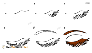 Keep in mind that lower lashes are much thinner and therefore lighter than the upper ones. How To Draw Eyelashes Step By Step Images