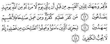 Informasi dari allah swt bahwasanya terjadinya kerusakan di daratan dan lautan. Tafsir Surat Ar Ruum Alqur Anmulia