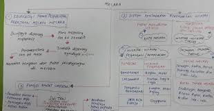 Kerja perakaunan adalah lebih rumit dan memerlukan pengetahuan yang profesional. Pengajian Malaysia Bab 1 Sejarah Awal Negara