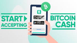 Bitcoin Cash Register App How To Start Accepting Bitcoin Cash Youtube