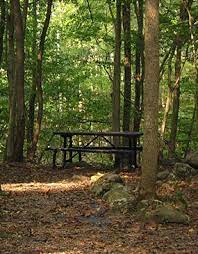 Camping in northern west virginia. Camping New River Gorge National Park And Preserve U S National Park Service
