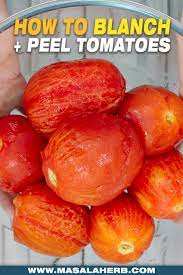 Packaging the tomatoes like this will ensure that they don't lose excess water and end up wrinkling. How To Blanch Tomatoes To Peel Masalaherb Com