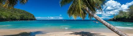 See tripadvisor's 172,898 traveler reviews and photos of martinique tourist attractions. Martinique Travel Guide U S News Travel