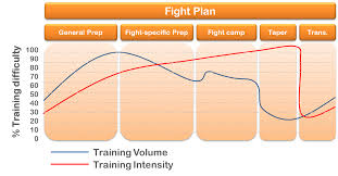 Periodization For Mma The Mma Training Bible