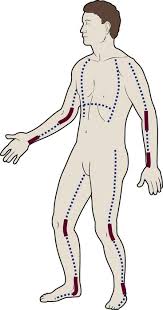 The office of the surgeon general, borden institute. Burns Nurse Key