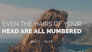 Matthew 10:30 the very hairs of your head are all numbered (Listen to,  Dramatized or Read) - GNT - Uplifting Scriptures