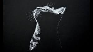 Art In Reverse Challenge Yourself By Drawing On Black Paper