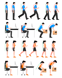 Image result for Posture