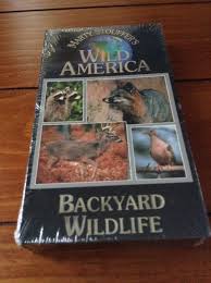 Marty Stouffer S Wild America Backyard Wildlife Vhs All New Inventory Look Wildlife Backyard America