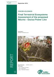 Image result for Pycreus atribulbus