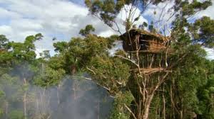 Check spelling or type a new query. Bbc Akui Rumah Di Atas Pohon Orang Korowai Di Papua Itu Palsu Bbc News Indonesia