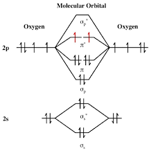 Pin On Printable Diagram