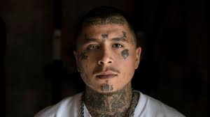 I definitely want to do the duke city tattoo fiesta every year now that i have my own studio in santa fe new mexico. Duke City Diaries Unm Alums Documentary Series Tells Stories Of Redemption Unm Newsroom
