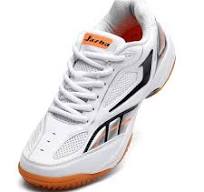 Jazba Badminton Racquetball Squash Shoes for Women Men GECKOR 1.0, Indoor  Court Sneaker Best for Volleyball Table Tennis Pickleball Training, Non ...