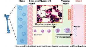 Image result for Platelet Function Closure Time