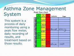 Asthma Causes Monitoring And Treatment Presented By