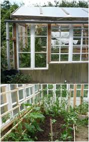 We have scoured online and put together this roundup of greenhouse plans and tutorials. 20 Free Diy Greenhouse Plans You Ll Want To Make Right Away Diy Crafts