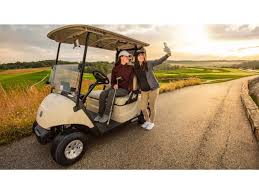 Image result for Brown 2025 Fleet