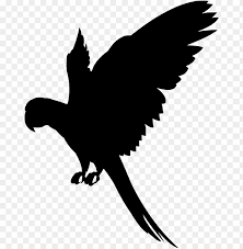 Vector Graphics Flying Parrot Silhouette Png Image With Transparent Background Toppng If you like, you can download pictures in icon format or directly in png image format. flying parrot silhouette png image with