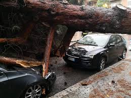 Allerta meteo calabria, diverse scuole chiuse. Maltempo Scuole Chiuse Il Nuovo Bollettino Prevede Nubifragi Estesa L Allerta Meteo