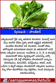 Health Health Tips Health Food