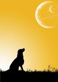 = haare schneiden = nicht haare schneiden. Mondkalender September 2012 Astrologische Symbolaufstellung Ilka Plassmeier