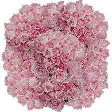 Fresh cut flowers on alibaba.com and select the finest ones. Luciano Roses Light Pink Fresh Cut Flower Delivery Globalrose