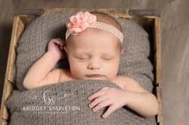 Bridget Stapleton Photography