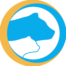 Bruin Initiative logo