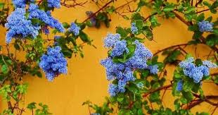 Pin On Nature