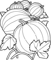 Planse educative pentru copii (9). Planse De Colorat Toamna De Colorat P05 Desene De Colorat Toamna De Colorat P05