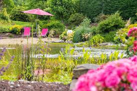 Piscine Naturelle Construction De Piscine Naturelle Paysages Conseil