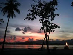 Gubernur nusa tenggara timur (ntt), viktor laiskodat, berencana membatasi jumlah wisatawan yang datang ke taman nasional komodo (tnk) di pulau komodo untuk mencegah dampak pariwisata massal. Netizen Kongsi Benda Best Boleh Buat Di Pulau Jerejak Pulau Pinang Libur