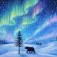 Aurora Wanderer Canvas