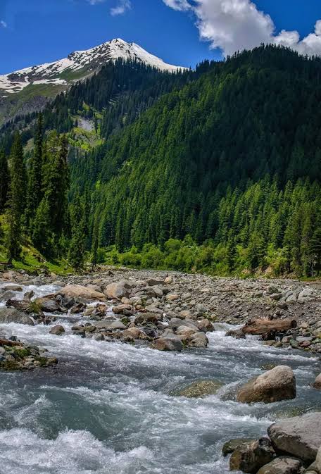 Naran Tour - Hotels In Naran Valley