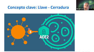 Ingresa crea tu cuenta ayuda. Como Ingresa Y Actua El Sars Cov2 En Nuestro Cuerpo Centro Avanzado De Enfermedades Cronicas