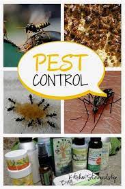 Pest Control India Pest Control Worcestershire Pest Control The Game Full Song Green Pest Control Natural Pest Control Pest Control Organic Pest Control