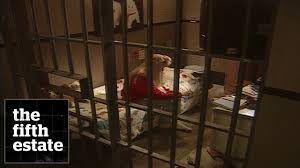 Although graphic and gruesome, the evidence by joe presented in open court at the trial of paul bernardo did not tell the whole story. Getting To Know Karla Homolka The Fifth Estate Youtube