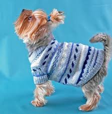 Small Dog Sweater Size Xs Dog Clothing Pet Clothes Puppy