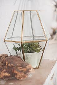 Pin On Fairy Gardens Miniature Gardens Terrariums