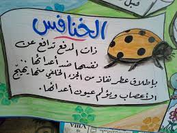 غرائب الحشرات الخنافس novelty sign decor home decor