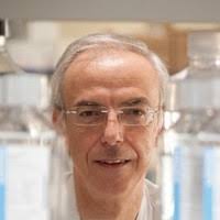 Ada Soler I Ventura Email & Phone Number