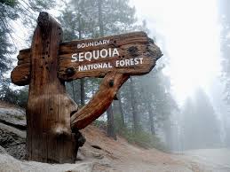 Shop for the perfect sequoia national park gift from our wide selection of designs, or create your own personalized gifts. Kings Canyon Sequoia National Park Kalifornien Mammutbaume Und Canyons