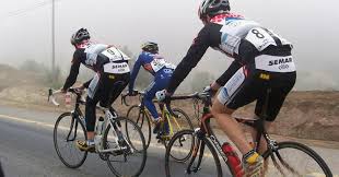 New horizons on switch, you'll have to set out some trash items and wait. Cute Alert Here Are The Top 15 Animals On Bikes Videos Ever