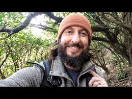 I discovered FAIRY HOUSES whilst hiking in Wellington, New Zealand Aotearoa  🌿