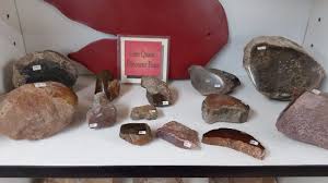 34 x 44 x 9d : Dinosaur Bone Picture Of Moab Rock Shop Moab Tripadvisor