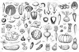 Hand Drawn Vegetables And Fruit How To Draw Hands Illustration Graphic Illustration