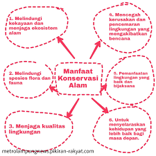 Check spelling or type a new query. Kunci Jawaban Tema 8 Kelas 6 Halaman 70 71 72 73 74 75 76 77 78 79 Buku Tematik Peta Pikiran Konservasi Alam Metro Lampung News Halaman 4